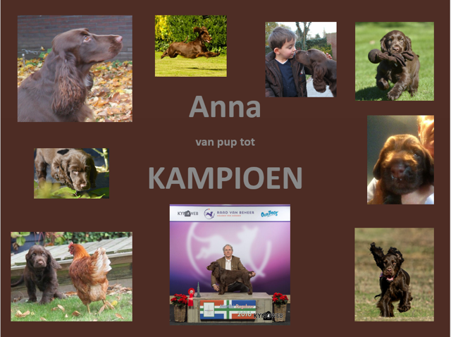 Anna; van pup tot kampioen