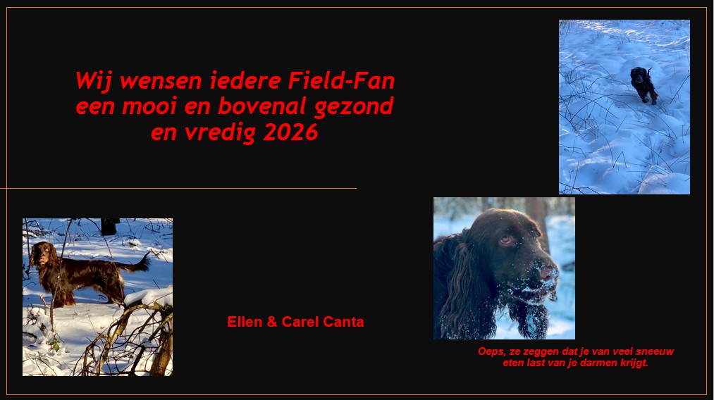 Nieuwjaarswens FSCN 2026 01
