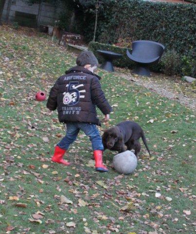 samen spelen 3